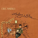 Chris Pandolfi - Looking glass