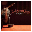 Black Stone Cherry - In my blood