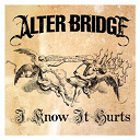 Alter Bridge - I know it hurts
