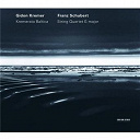 Gidon Kremer / Kremerata Baltica - Schubert: string quartet g major