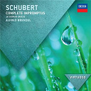 Alfred Brendel / Franz Schubert - Schubert: complete impromptus; 16 german dances