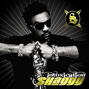 Shaggy - Intoxication