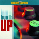 Freddie Mc Gregor / Glen Washington / Heavybeat Crew / Jimmy Riley / Kashief Lindo / Mical Rustle / Nikesha / Riddim Driven / Tinga Stewart - Riddim driven: tun it up