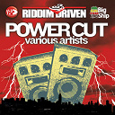 Aidonia / Bounty Killer / Busy Signal / Chino / Craig Dennis / Einstein / Elephant Man / Flex / Kari Jess / Lady Saw / Mavado / Nikki B / Norris Man / Sean Paul / Vybz Kartel - Riddim Driven: Power Cuts