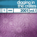 Book Of Love / Filter / Mephisto Odyssey / New Order / Orgy / Snake River Conspiracy - Digging in the crates: 2001 vol. 1
