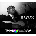 Albert Collins / B.b. King / Big Mama Thornton / Bo Diddley / Bobby "Blue" Bland / Buddy Guy / Chuck Berry / Eddie Boyd / Eric Clapton / Etta James / Howlin' Wolf / James Elmore / Jimmy Rogers / John Lee Hooker / Koko Taylor / Larry Davis / Little Walter / Louis Jordan / Lowell Fulson / Muddy Waters / Robert Cray / Sonny Boy Williamson - Triple best of : blues