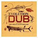 Evolution Of Dub Vol 2-The Great Leap Forward / Niney / The Aggrovators / The Revolutionaries / Tommy Mc Cook - Evolution of dub vol 2-the great leap forward