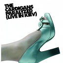 The Cardigans - Paralyzed