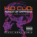 Kid Cudi - Pursuit of happiness