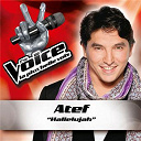 Atef - Hallelujah - the voice : la plus belle voix