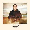 Bosse - Kraniche