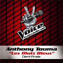 Anthony Touma - Les mots bleus - the voice 2