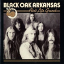 Black Oak Arkansas - Ain't life grand