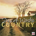 Bryan White / Charlie Daniels / Collin Raye / Diamond Rio / Emerson Drive / Lenny Leblanc / Linda Davis / Marty Raybon / Rachel Robinson / Rascal Flatts / Rebecca Lynn Howard / Ricky Skaggs / The Oak Ridge Boys / The Wilsons / Trinecia Butler - Songs for worship: country