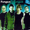 Fungus - Amungus