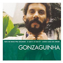 Gonzaguinha - The essential gonzaguinha