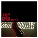 Ash - You can't have it all (1 track dmd)