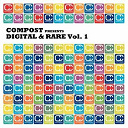 A Forest Mighty Black / Beanfield / Blimp / Fauna Flash / Funkstorung / Knowtoryus / Les Gammas / Minus 8 / Move D / Native Force / Worldless People - Digital & rare vol. 1