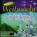 Falkenstoaner Viergesang / Feldmochinger Dreigesang / Jerry Rix / Margit Anderson / Roland Steinel / Sch&ouml;nauer Saitenmusi / Siegfried Peugler / T&oacute;lzer Knabenchor / Unknown - Weihnacht in den bergen
