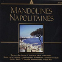 Quartetto A Plettro - Mandolines napolitaines