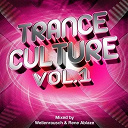 Cyrex / Ekstasis Project / Fassbender / Haris / Ion Blue / Javah / Jim / Krivi / Michael Angelo / Natlife / Rene Ablaze / Santerna / Sun Liquide / Sunstream / Wellenrausch - Trance culture vol.1