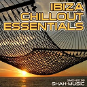 Buro / Chimera State / Cold Blue / Derek The Bandit Vs James Nelson / Dj Cosmo / Dj Shah / Earthscape / Krivi / Pearl Black / Pedro Del Mar / Skye Shapard / The Movement - Ibiza chillout essentials
