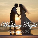 Andersson Iii / Atrium / Blue Crisp / Blue Moon / Coastline / Energy Spacelounger / French Kiss Loungers / Hirudo / Jean Luc / Love Del Mar Suite 101 / Melounge / Moodchill / Moon Flower / Ra Qi Gong / Sleepingroom Armada / Soleil Loungers / Starchillaz - Wedding night chillout del mar