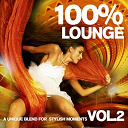 351 Lake Shore Drive / Aim&eacute;e Sol / Andr&eacute; Walter / Aqualise / Asheni / Ingo Herrmann / Mariella Narvaez / Simon Le Grec / Slg / Soulchillaz - 100 lounge vol.2