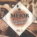 Bosanova Brasilero / Canta Luis Moyano / Colombia Caribe / Cumbia Afro / El Cartel De La Salsa / Gavino Pampini / La Sonora Castellana / La Trombonera / Los Afrodines / Los Mirlos / Los Mosambiques / Merengue Kids / Merengues Campeones / Orquesta Black Power / Vallenato Fres - Lo mejor salsa cumbia merengue, vol. 1