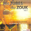 Alex Rosa / Bookelos / Dif&eacute;, Rosine Varasse / Dissonance / Dominique Panol / Evasion / Groupe E+ De Geno Exilie / Guilou / Jean-Jacques Gaston / Karapat / Max S&eacute;verin, Lydia Paturot / Perfecta / Super Sterne - Les tubes du zouk - une s&eacute;lection de david eugene, vol. 1 (50% guadeloupe 50% martinique)