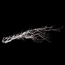 Art Zoyd - Pure noise