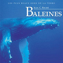 Jean C Roche - Baleines