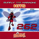 Amy Winehouse / Arctic Monkeys / Bloc Party / Foo Fighters / Girls Aloud / James Blunt / Paramore / Plain White T's / Rihanna / Scouting For Girls / Sean Kingston / Shayne Ward / Spice Girls / Sugababes / Westlife - Sunfly hits: vol. 262