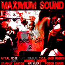 Buccaneer / Dean Frazer / Fluxy / Frenchie / Future Troubles / General Degree / Glamour Murphy / Jack Radicks / Mr Vegas / Mykal Rose / Poison Chang / Richie Stevens / Starkey Banton / Sweetie Irie / T.o.k. / The Mafia / The Taxi Gang - The best of maximum sound, vol. 2