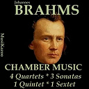 Alexander Schneider / David Oistrakh / Dimitri Tziganov, Vadim Borisovsky, Sergei Shirinsky / Emil Gilels / Frida Bauer / Glenn Gould / Herman Bress, Mildred Goodman, Otto Joachim, Walter Joachim / Hollywood String Quartet, Victor Allen / Isaac Stern / Mieczyslaw Horszowski / Milton Katims / Milton Thomas, Madeline Foiley / Pablo Casals / Pierre Fournier / Wilhelm Backhaus - Brahms, vol. 12 : chamber music