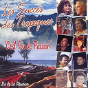 Atoll / Corneil Domitile / Dominique Barret / Elsie / Fr&eacute;d&eacute;ric Joron / Georges Marie Soucramanien / Isabelle / Jacky Lechat / Jean Alain Hoareau / Joel Vigne / Les Succ&egrave;s Des Tropiques / Maguy Payet / Nicole Dambreville / Ousa Nousava / Tropical Band / Zetwal Katrer - C'est fou de passion (ile de la r&eacute;union)