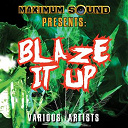 Alborosie / B. Anthony / Christopher Martin / Da' Ville / Danny English / Fantan Mojah / Jah Mason / Lukie D / Mr Vegas / Mykal Rose / Red Rat / Sizzla / Starkey Banton / Tony Curtis / Warrior King / Wayne Marshall - Blaze it up