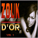 Alan Cave / Christelle Rosette / C&eacute;dric Zamia / D'fi / Daan Junior / Fabrice Servier / Fred Bigor / M&eacute;tissa / Patrick Matau / Steel / Suzy Trebeau - Zouk d'or, vol. 1