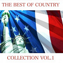 Bill Monroe / Bob Wills / Cliffie Stone / Delmore Brothers / Floyd Tillman / Foy Willing / Hank Thompson / Hank Williams / Jack Guthrie / Merle Travis / Moon Mullican / Pee Pee King / Red Foley / Tex Ritter / Tex Williams / The Bluegrass Boys / The Oklahomans / The Texas Playboys / Wesley Tuttle - The best of country, vol.1
