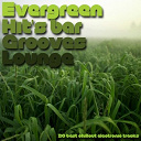Bee Side / Chad / Deep Joke / Derail / Enea Dj / Flaster / Guss / Kenny Fortes / Lady White / Mark Down / Maxima / Novak / River / Sangar / Spirotures / Under Lock - Evergreen hit's bar grooves lounge (20 best chillout electronic tracks)