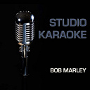 Universal Sound Machine - Studio karaoke (originally performed by bob marley)