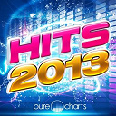 A-Roma / Alycia Stefano / Antoine Clamaran / Christopher S / Colonel Reyel / Dimitri Vegas, Like Mike / Edalam / Gwatinik / Hardwell / Kim / L'alg&eacute;rino / L.e.c.k. / Lena Cortes / Michael Mind Project / Moussier Tombola / Radio-Project / Regi / Sofiane / Taipan / The Stone / Van Linden / Youssoupha - Hits 2013