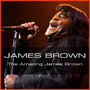 James Brown - James brown: the amazing james brown