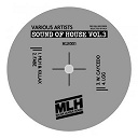 Fabe / Lgg / Mlh & Killax / William Caycedo - Sound of house, vol. 3