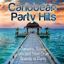 Angelo Y Su Triple A / Armando Or&egrave;fiche / Bachata Beach / Begona Martino / Beny Mor&eacute; / Calia Cruz / Caribe Girls / Cosas De Ni&ntilde;os / Duany Antonio / Elio Reve Y Su Charangon / Farandula Santiaguera / Havana / Isla Caribe / Ismael Borges / Jose Luis Losada / Juan De La Cruz / La Constelacion, Hector Daniel / Melvin Angarica / Moreno / Nico Saquito / P&eacute;rez Prado / Sol Mambo / Son Candela / Vladimir Solorzano / Vuelo 315 / Yenisei Del Castillo - Caribbean party hits (jamaica, soca, latin and steel drum sounds to party)
