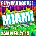 Elsa Del Mar / Hot Pool / Instrumenjackin / Jason Rivas / Klum Baumgartner / Muzzika Global / Nu Disco Bitches / Organic Noise From Ibiza / Positive Feeling - Playdagroove! miami sampler 2013 (club edition)