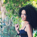 Ali Angel / Aycee Jordan / Dory / Eleeza R / Elizio / Jocelyne Labylle / Kaysha / Leila Chicot / Mainy / Michael / Nichols / Pierre Fronton / Rita Heyvi / Sonia Dersion / Vanda May - She loves zouk, vol. 9
