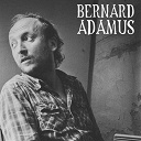 Bernard Adamus - No brun