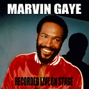 Marvin Gaye - Recorded live on stage (live)