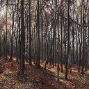 Richard Moult - Yclypt
